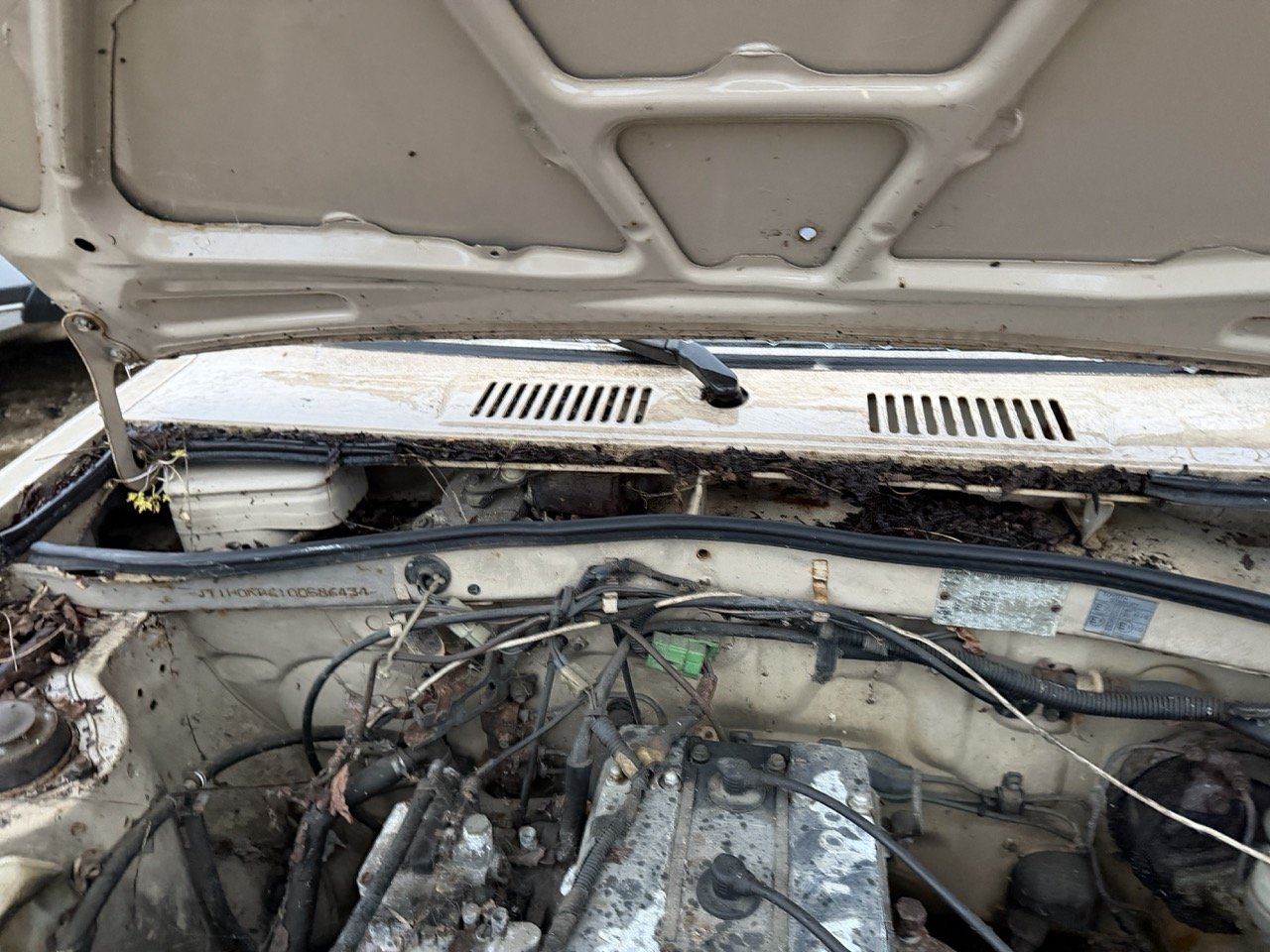 IMG_0244 – grande.jpeg