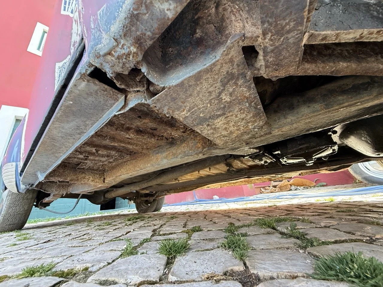 IMG_3564 – grande.jpeg