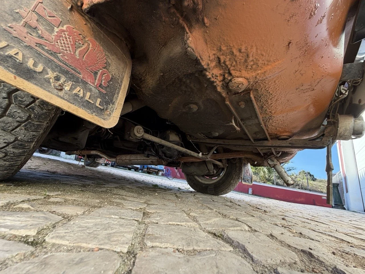 IMG_2460 – grande.jpeg