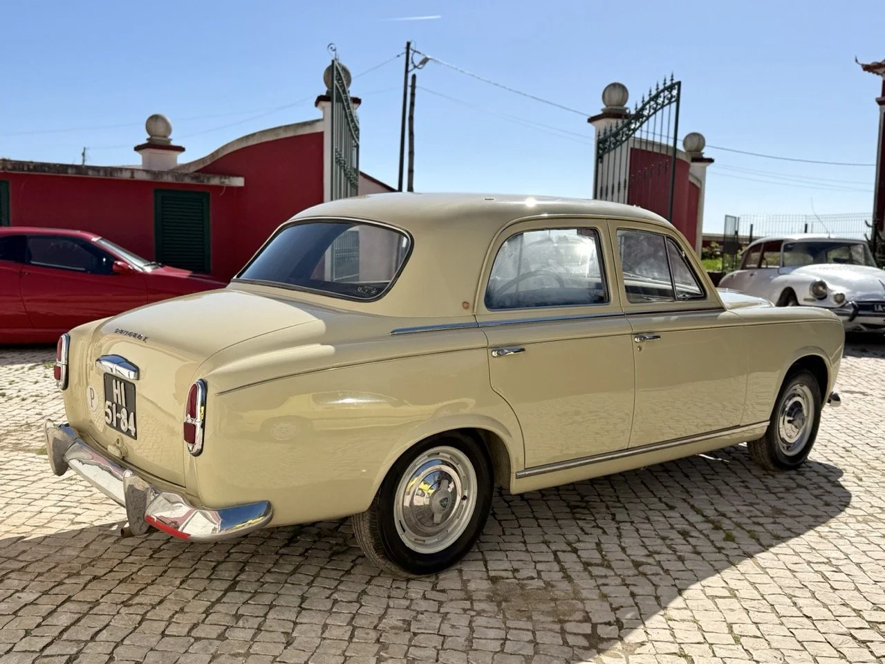 IMG_6643 – grande.jpeg