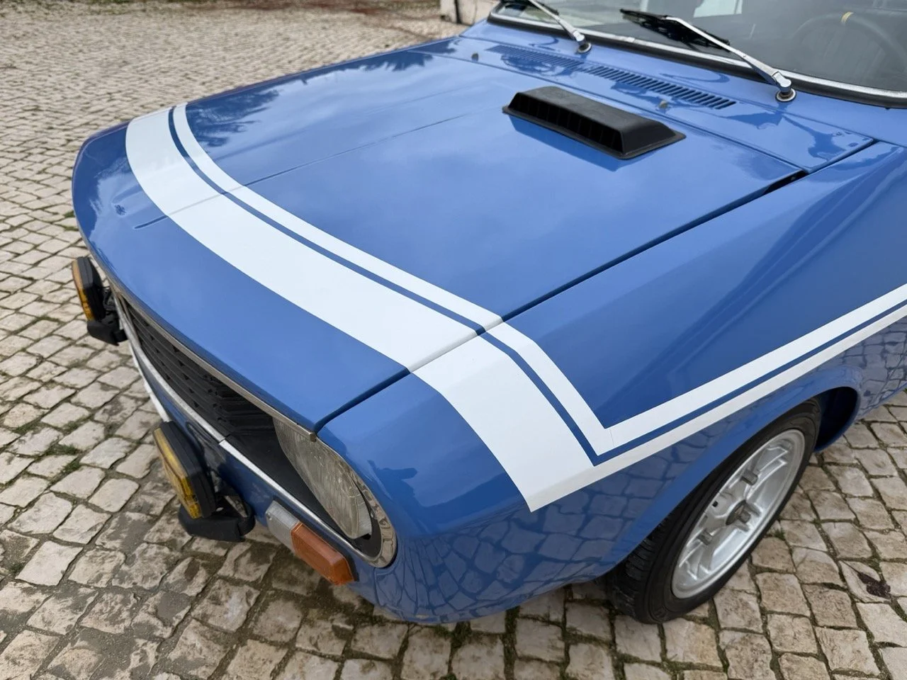 IMG_6105 – grande.jpeg