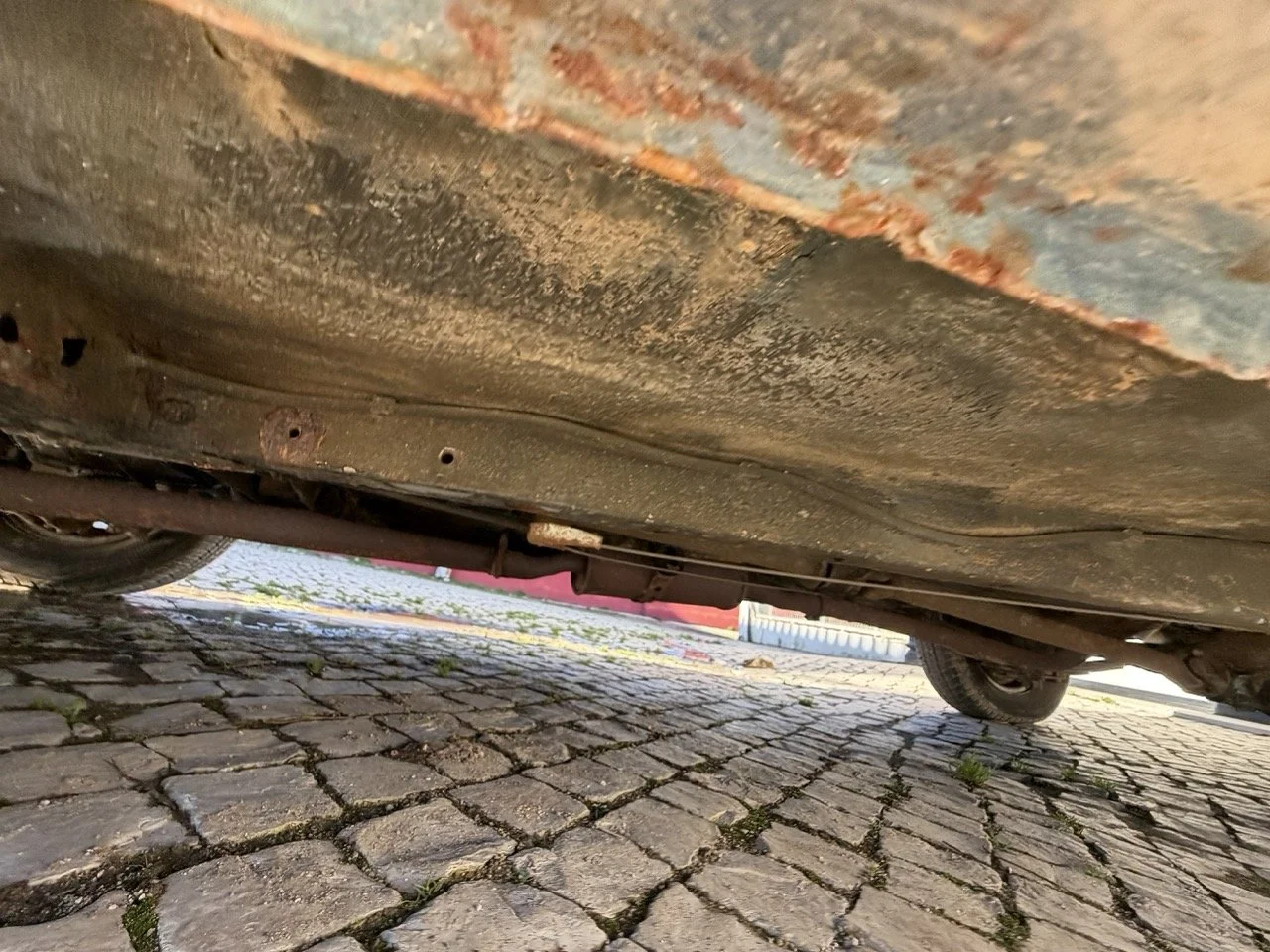 IMG_1910 – grande.jpeg