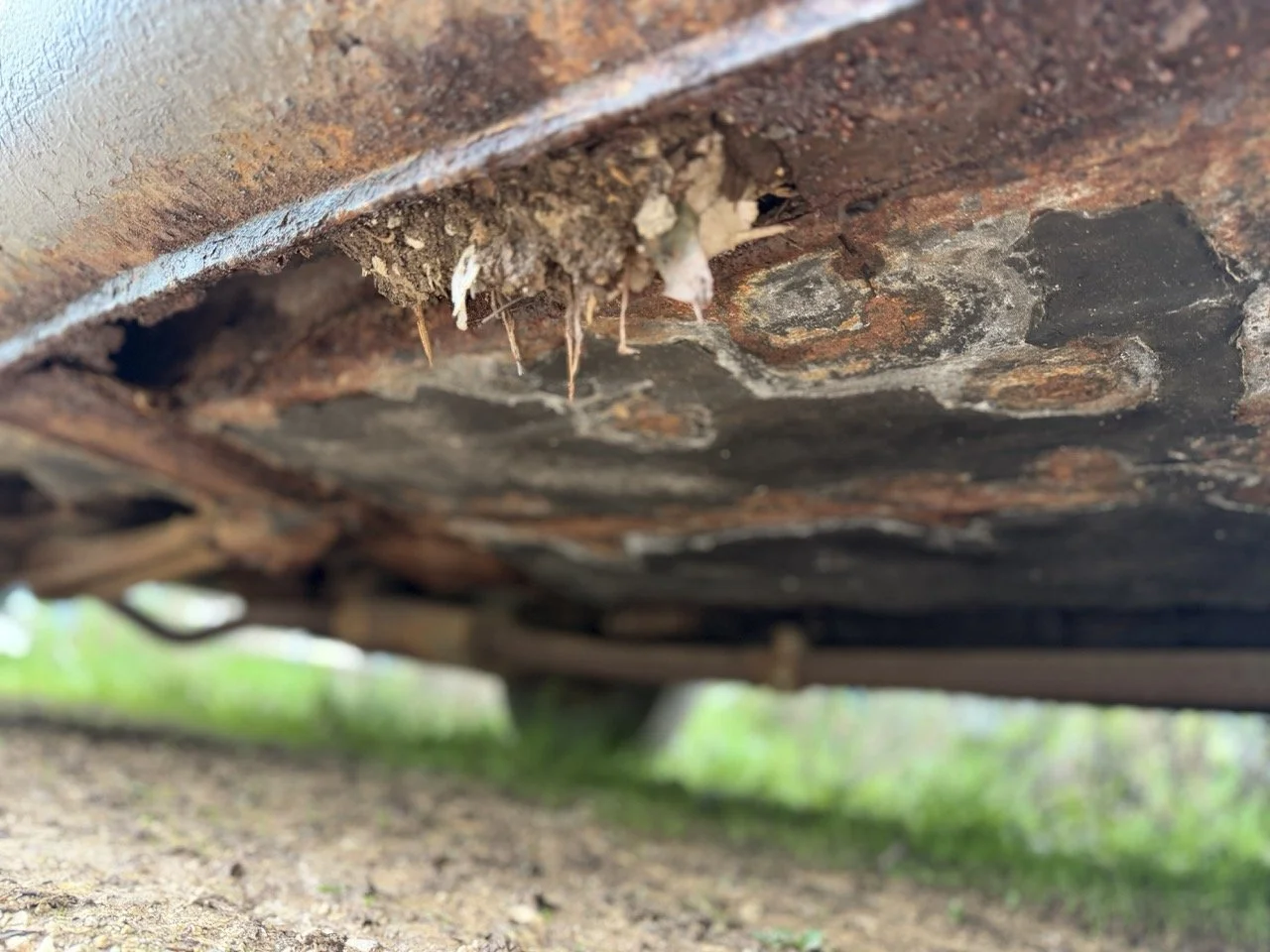 IMG_5030 – grande.jpeg