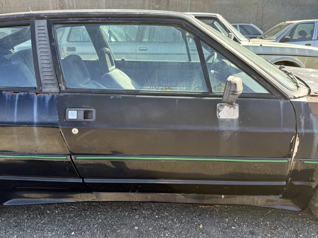 IMG_2919 – grande.jpeg