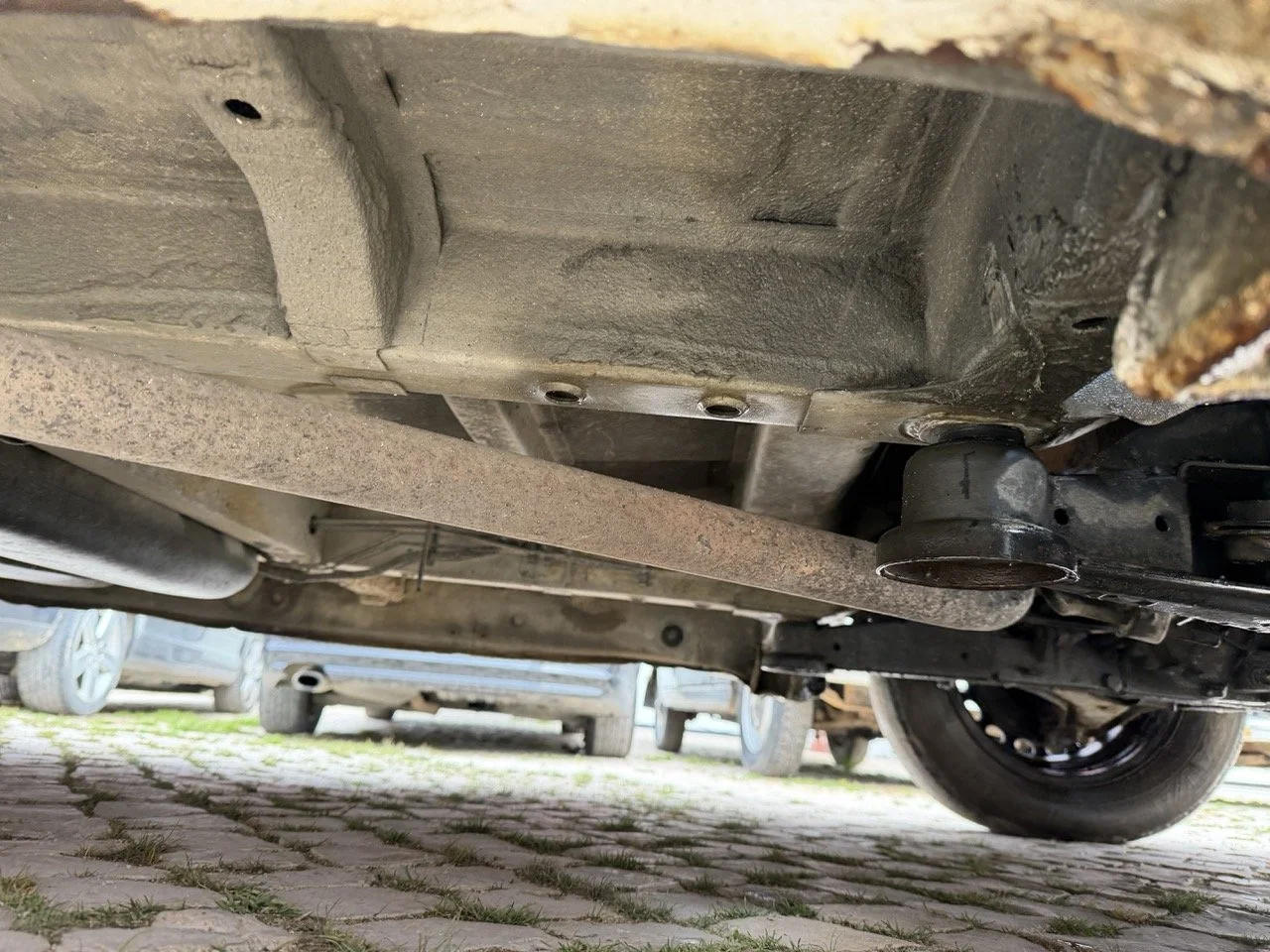 IMG_9585 – grande.jpeg