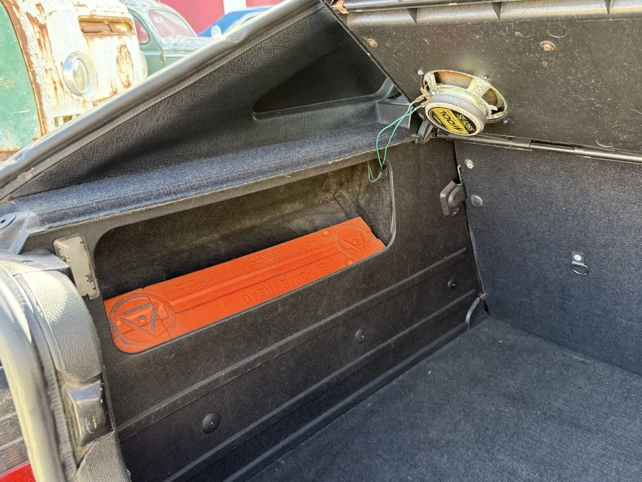 IMG_2562 – grande.jpeg