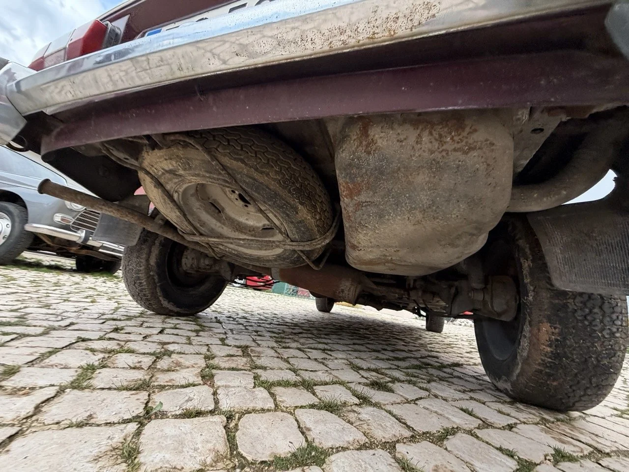 IMG_4948 – grande.jpeg