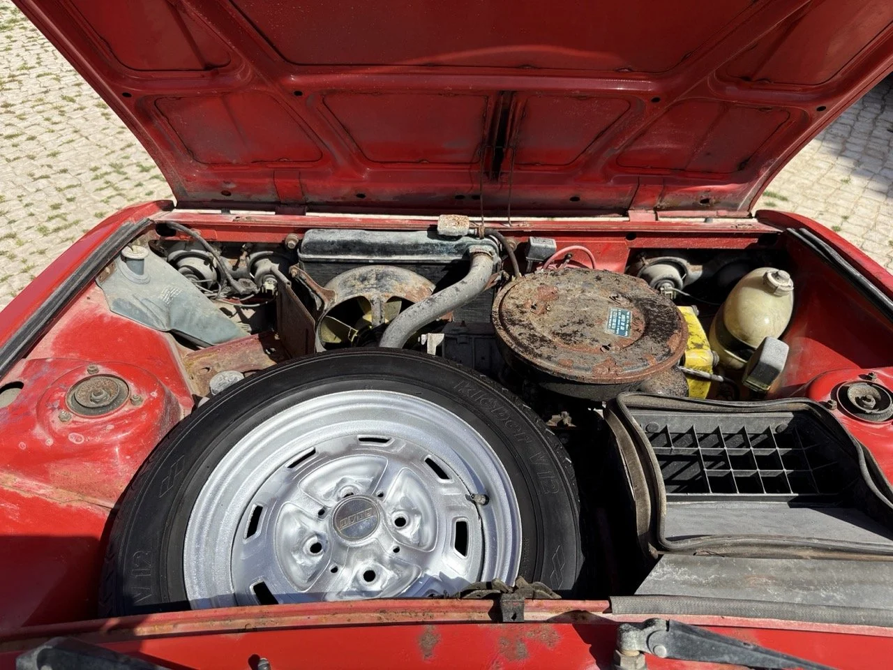 IMG_2285 – grande.jpeg