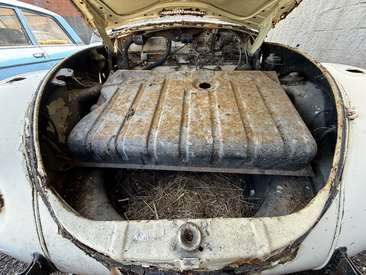 IMG_0642 – grande.jpeg