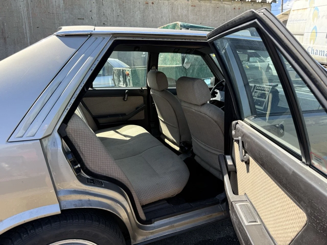 IMG_1889 – grande.jpeg