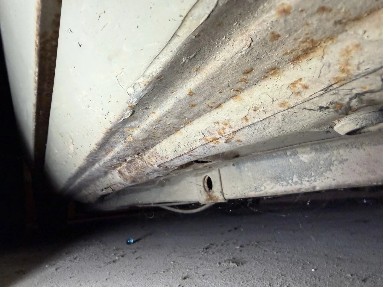 IMG_7119 – grande.jpeg