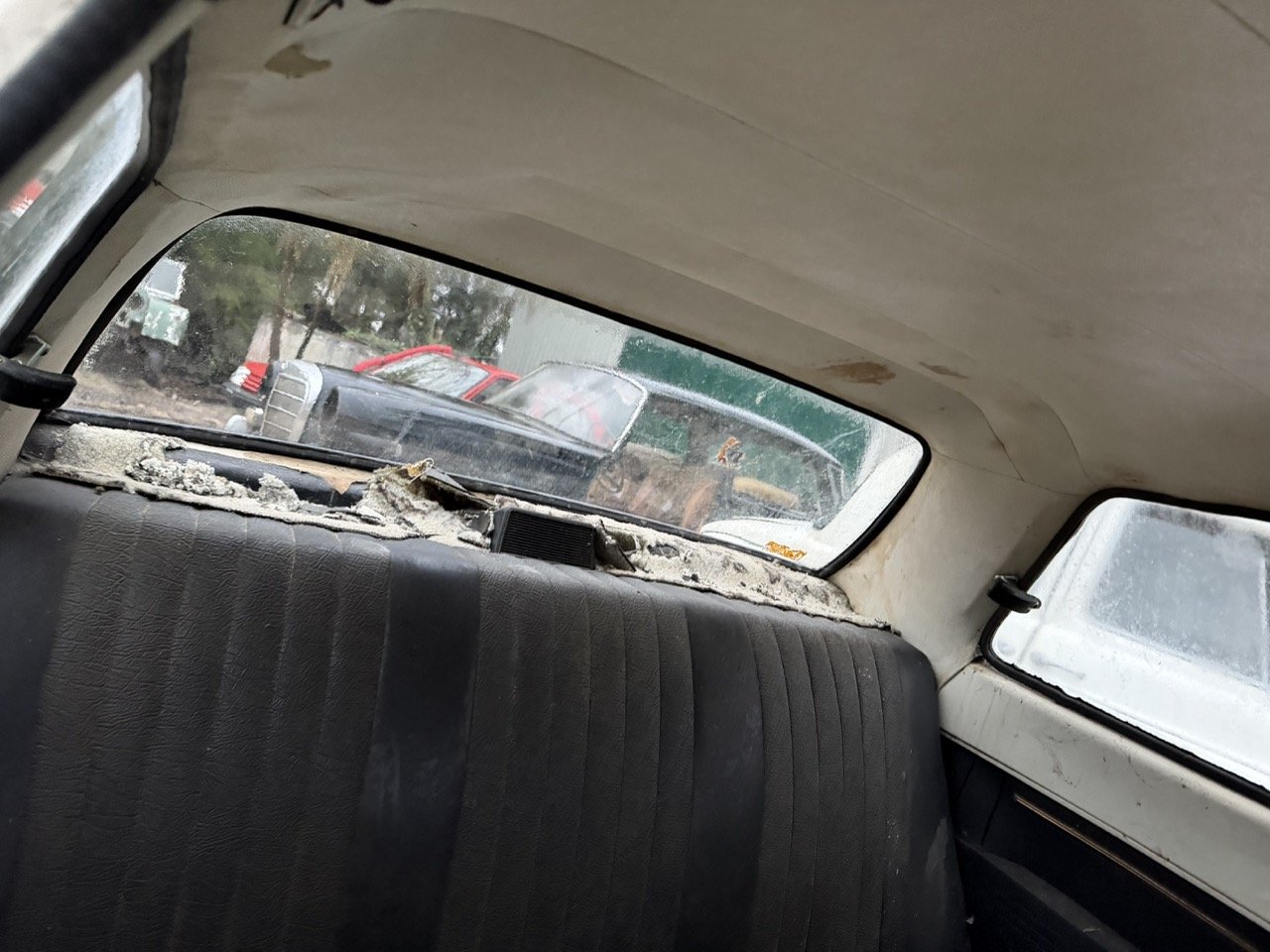 IMG_0143 – grande.jpeg