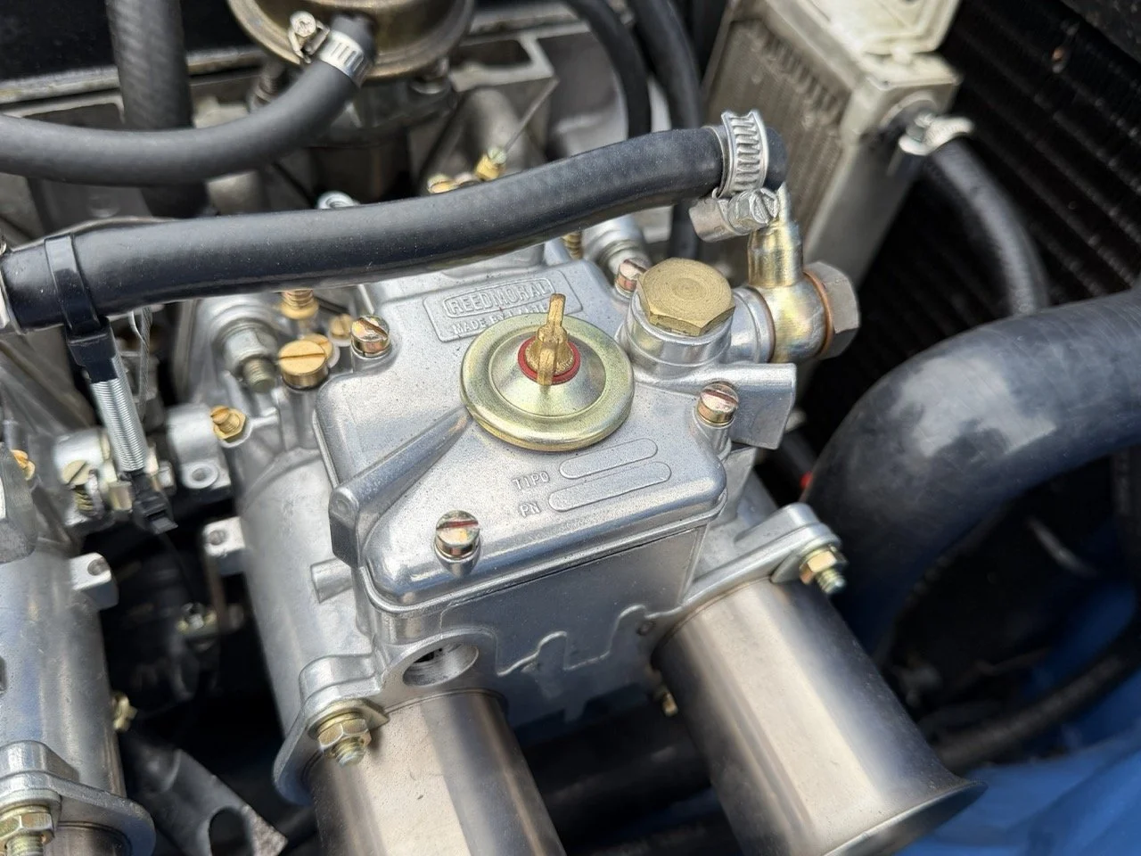 IMG_6024 – grande.jpeg