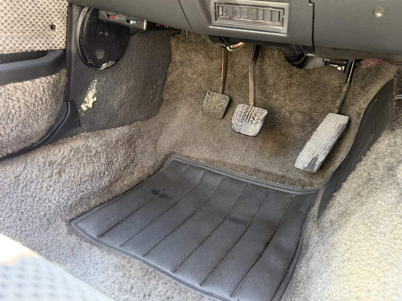 IMG_2073 – grande.jpeg