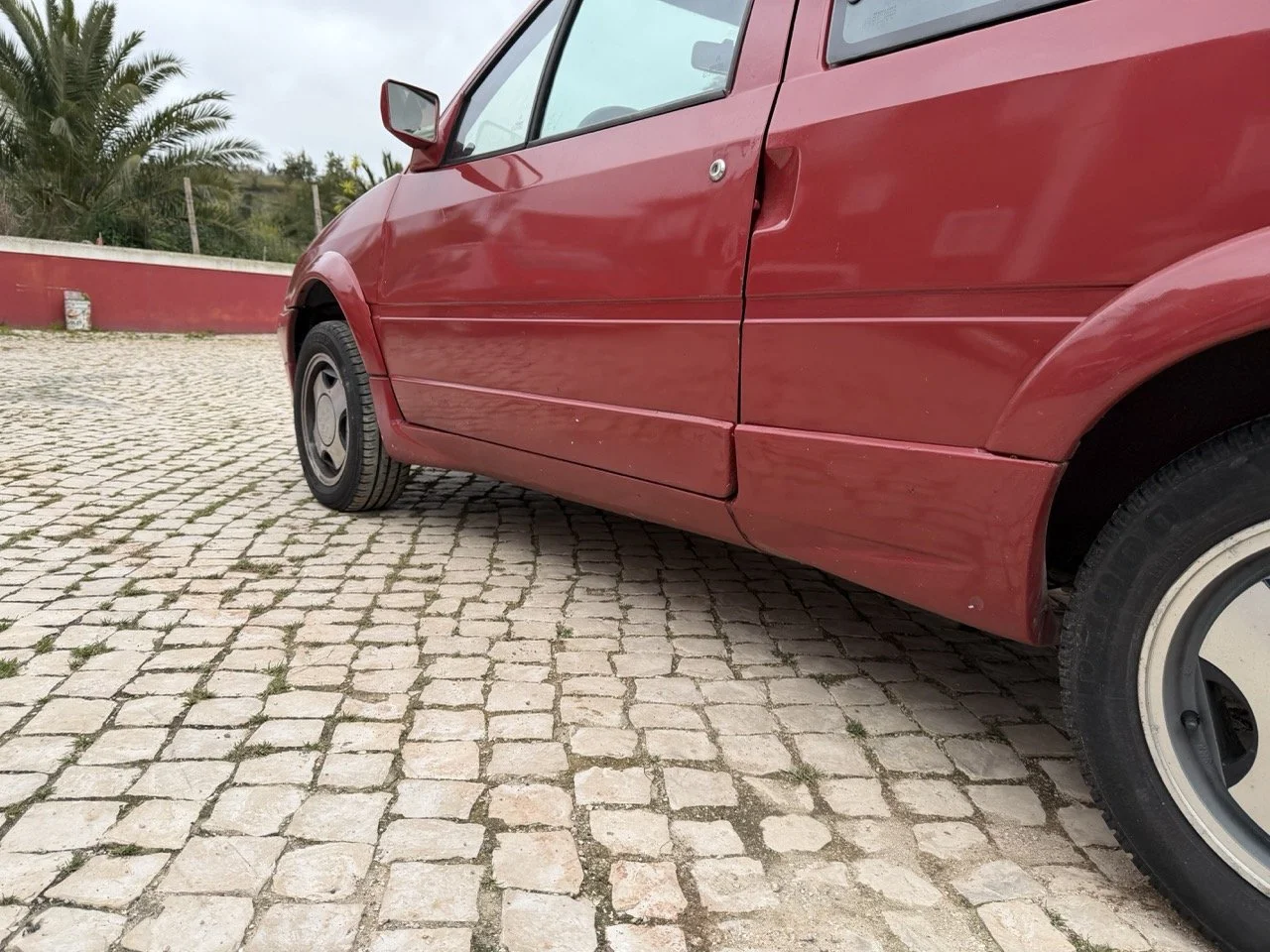 IMG_3647 – grande.jpeg