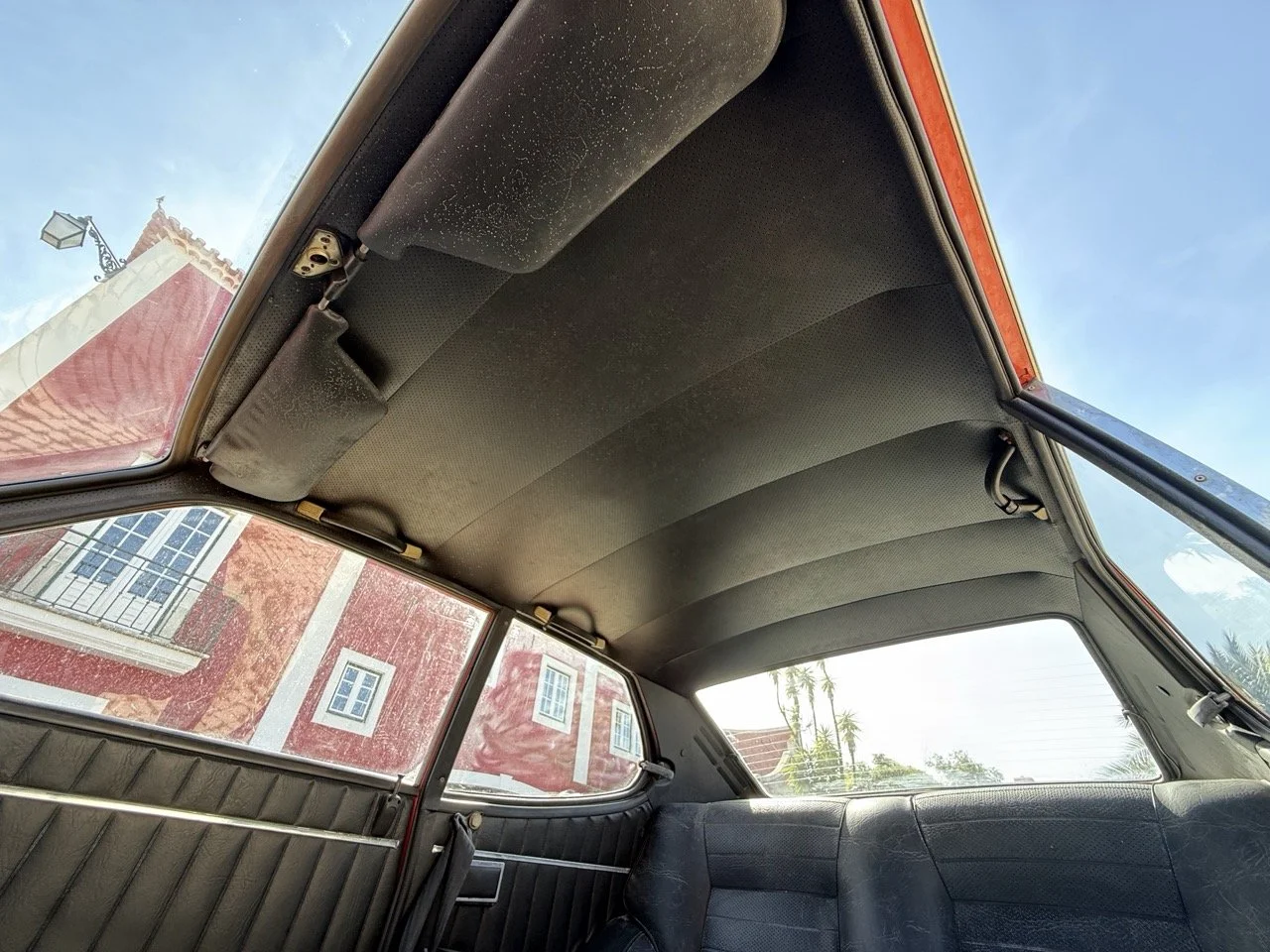 IMG_2330 – grande.jpeg