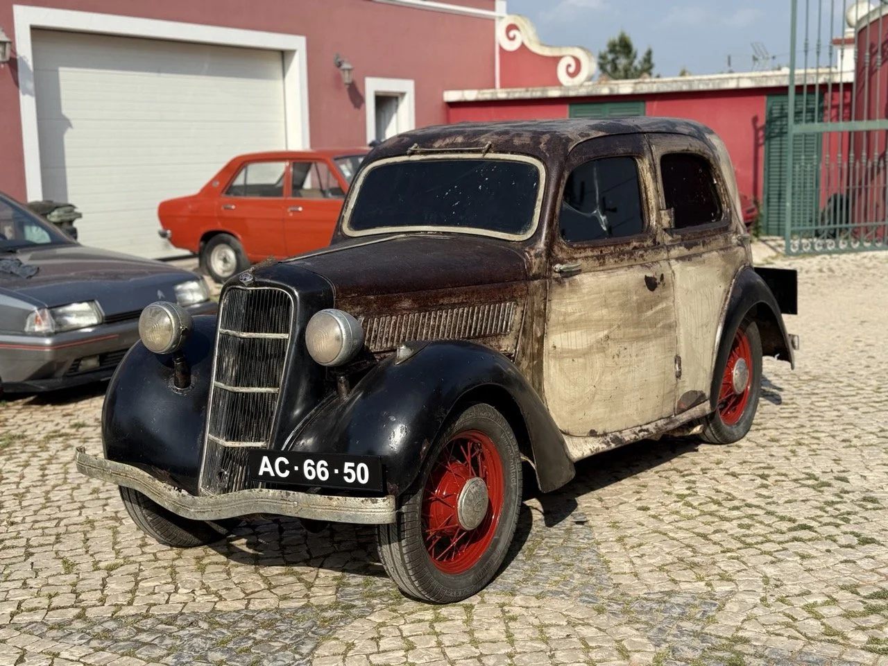 IMG_3675 – grande.jpeg