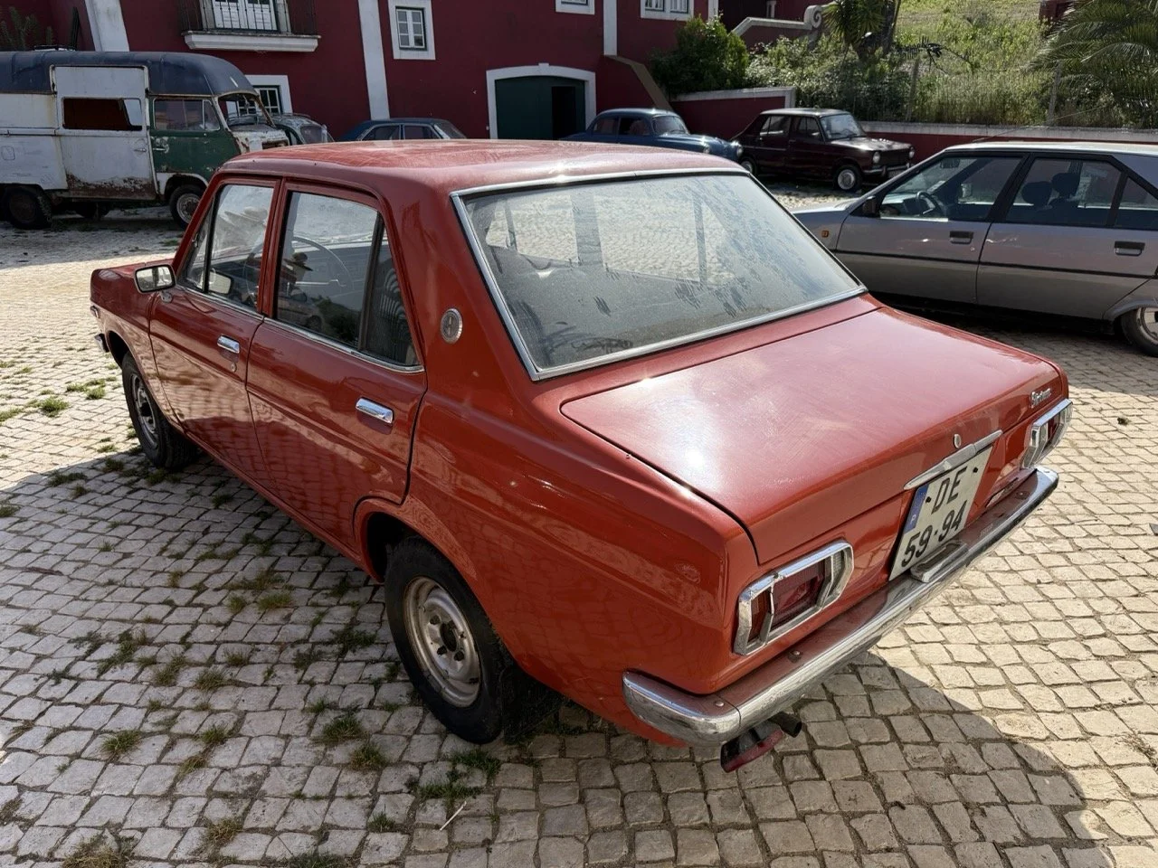 IMG_3594 – grande.jpeg