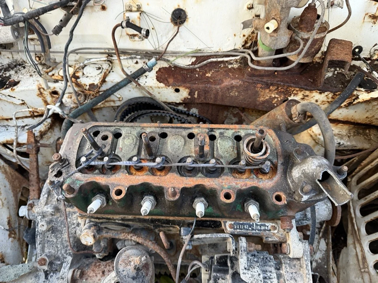 IMG_0879 – grande.jpeg