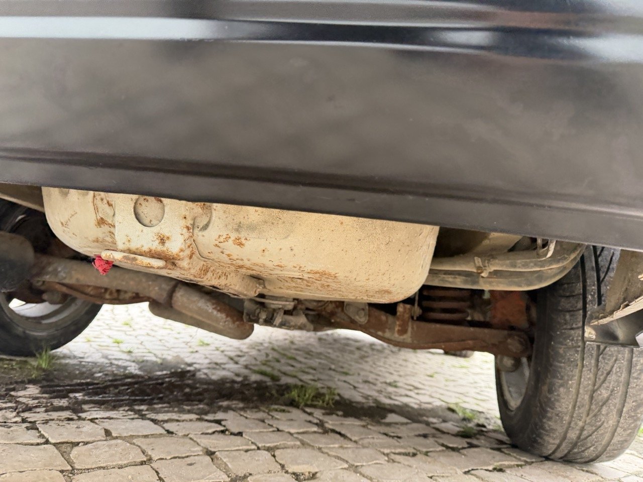 IMG_1310 – grande.jpeg