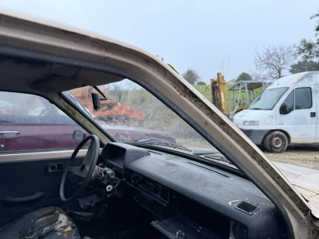 IMG_0220 – grande.jpeg