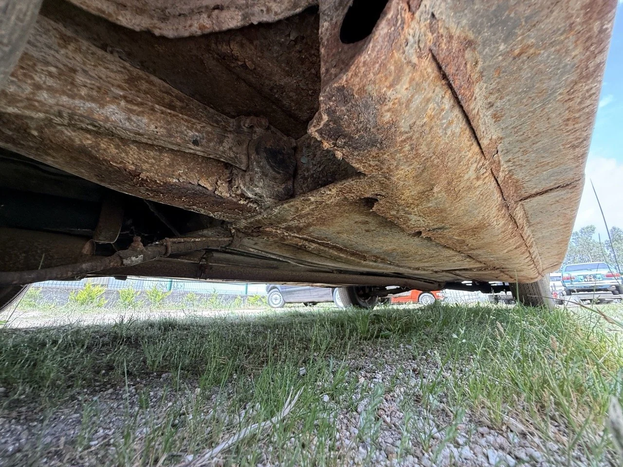 IMG_1417 – grande.jpeg