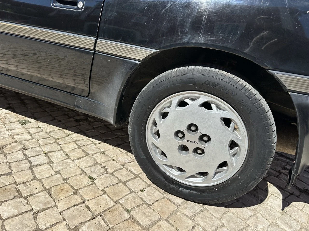 IMG_3164 – grande.jpeg