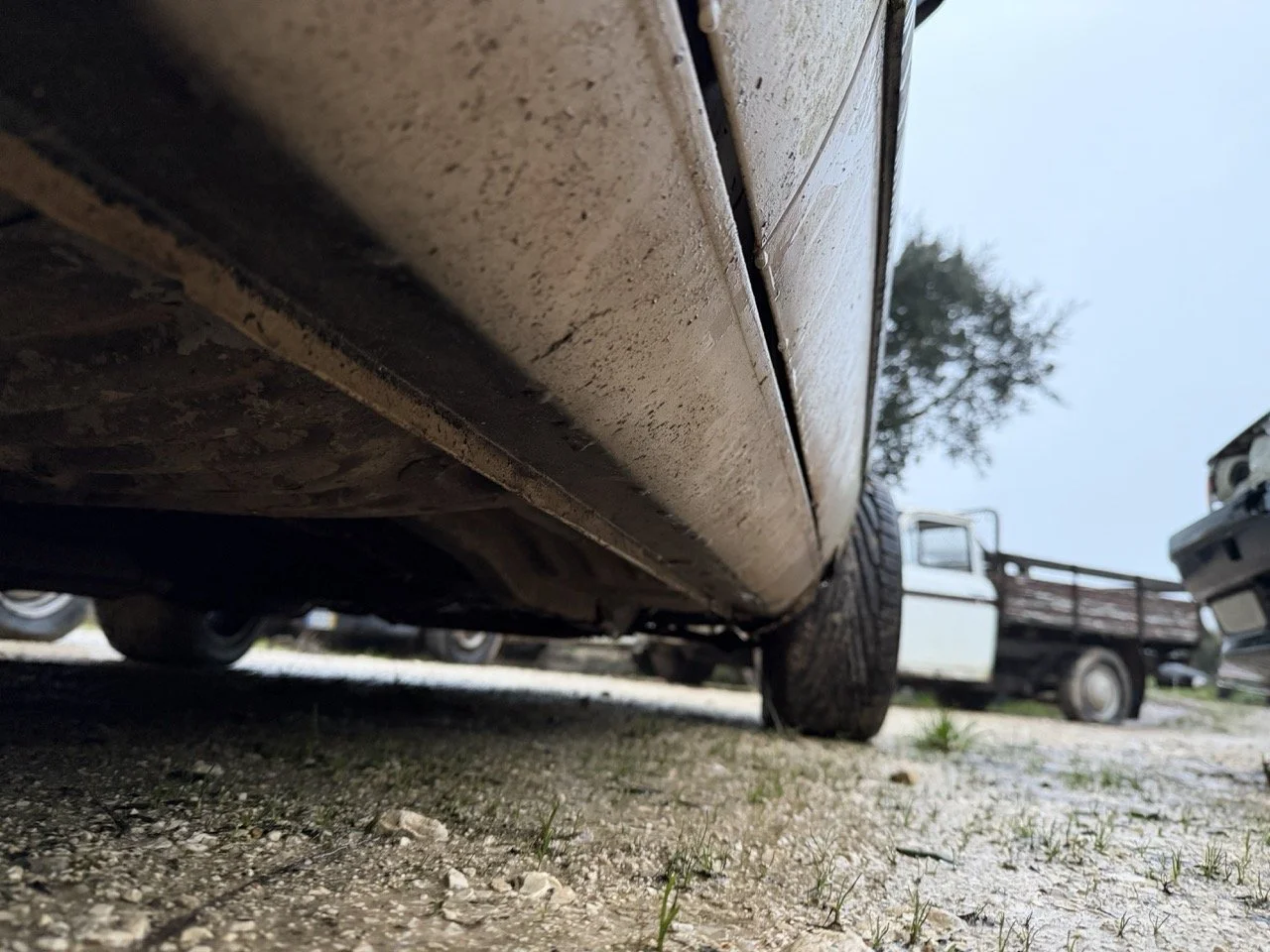 IMG_0215 – grande.jpeg