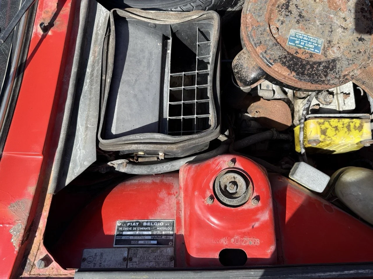 IMG_2294 – grande.jpeg