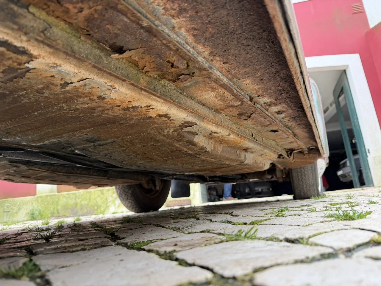 IMG_1235 – grande.jpeg