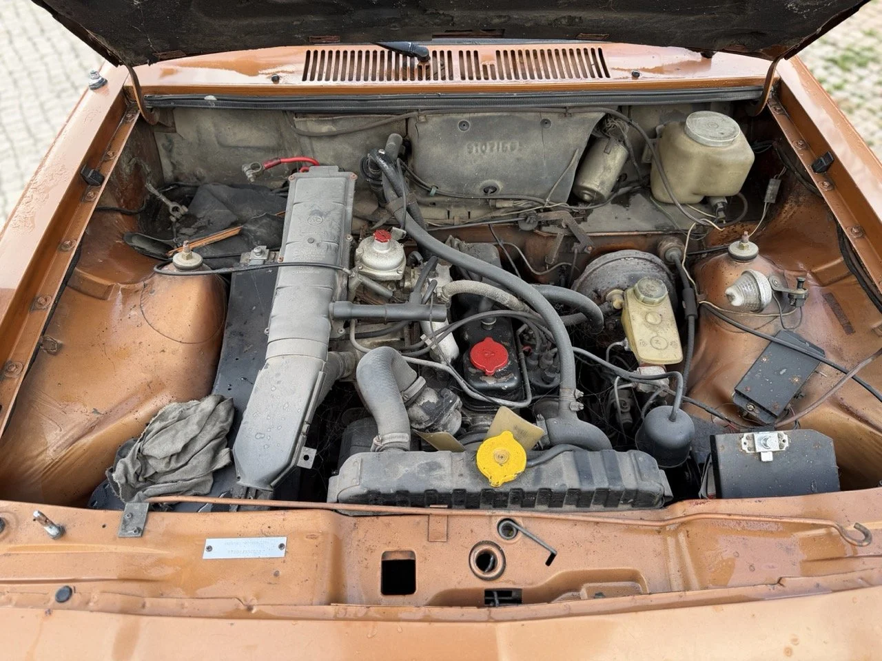 IMG_8741 – grande.jpeg