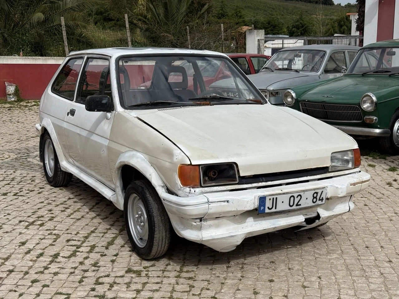 IMG_8453 – grande.jpeg