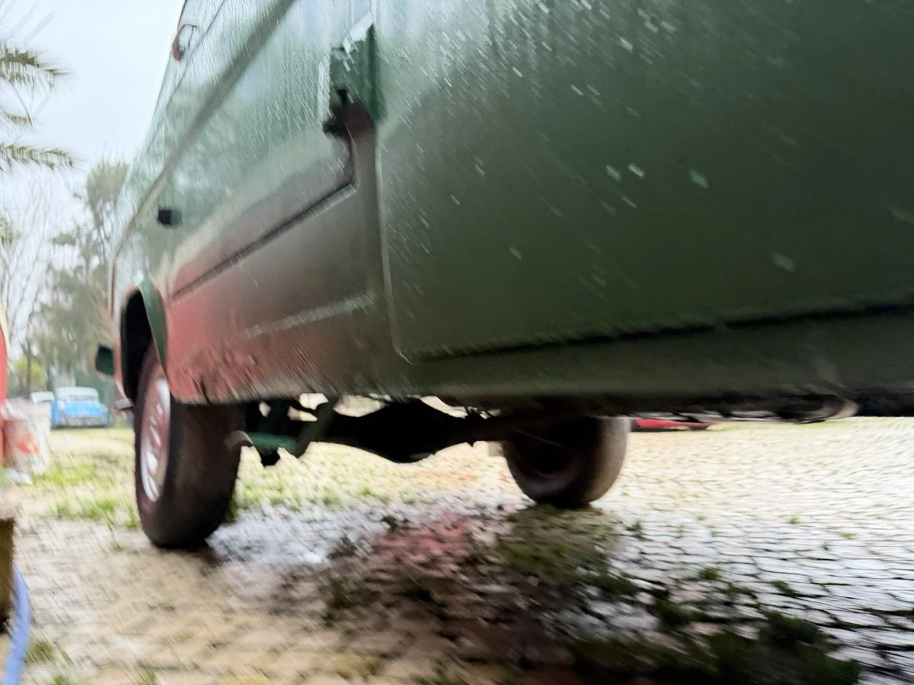 IMG_9963 – grande.jpeg