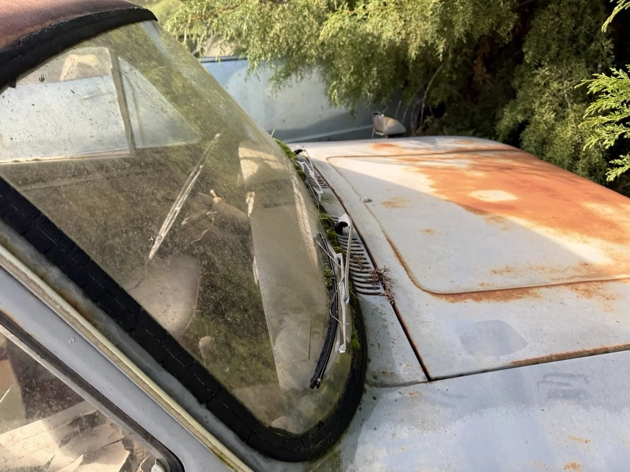 IMG_8556 – grande.jpeg