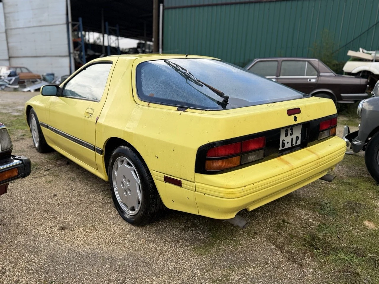 IMG_5208 – grande.jpeg