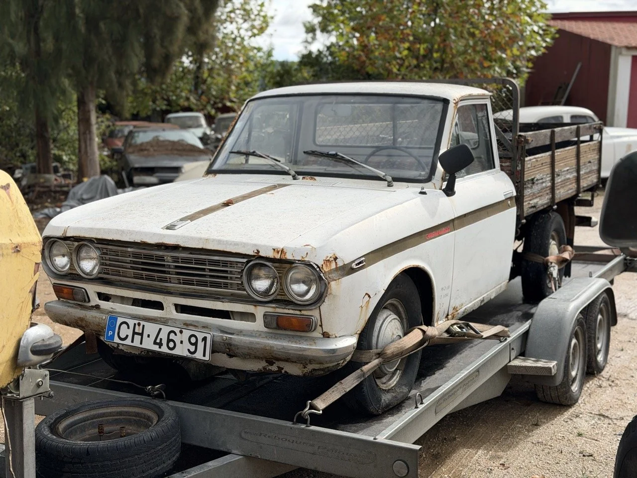 IMG_1894 – grande.jpeg