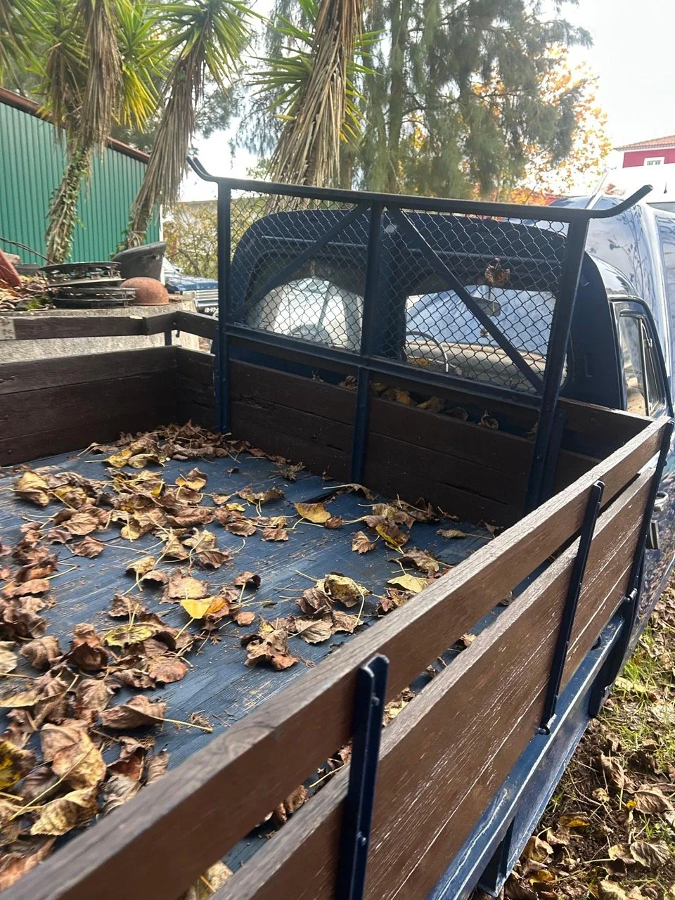 6e7f4c5e-e695-44c8-8b4f-acf91a01983b – grande.jpeg