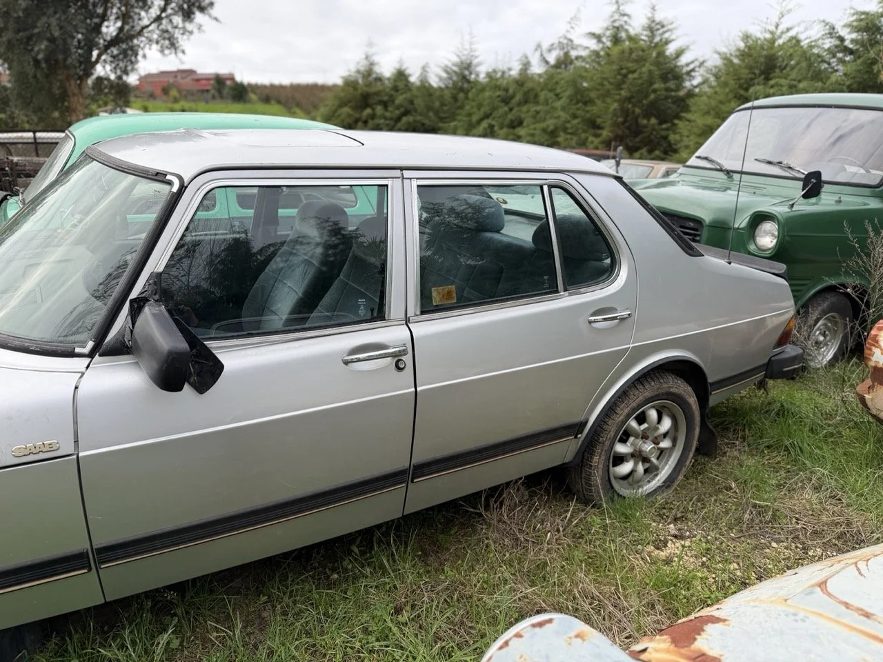 IMG_4984 – grande.jpeg