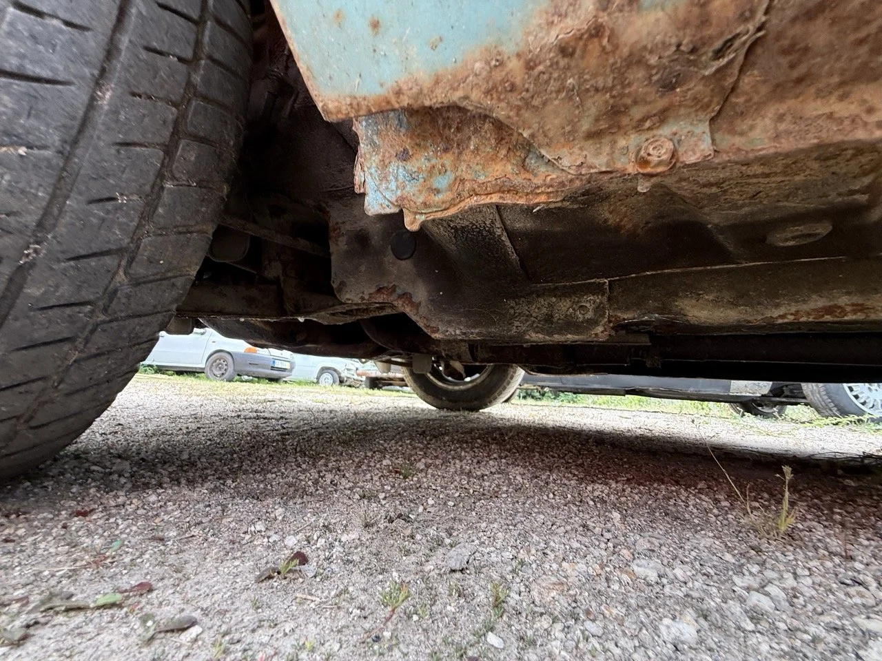 IMG_1561 – grande.jpeg