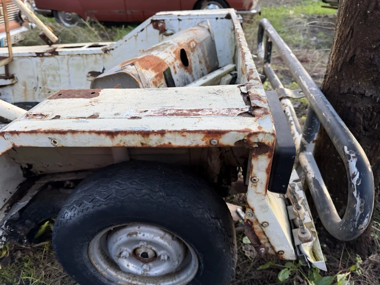 IMG_0891 – grande.jpeg