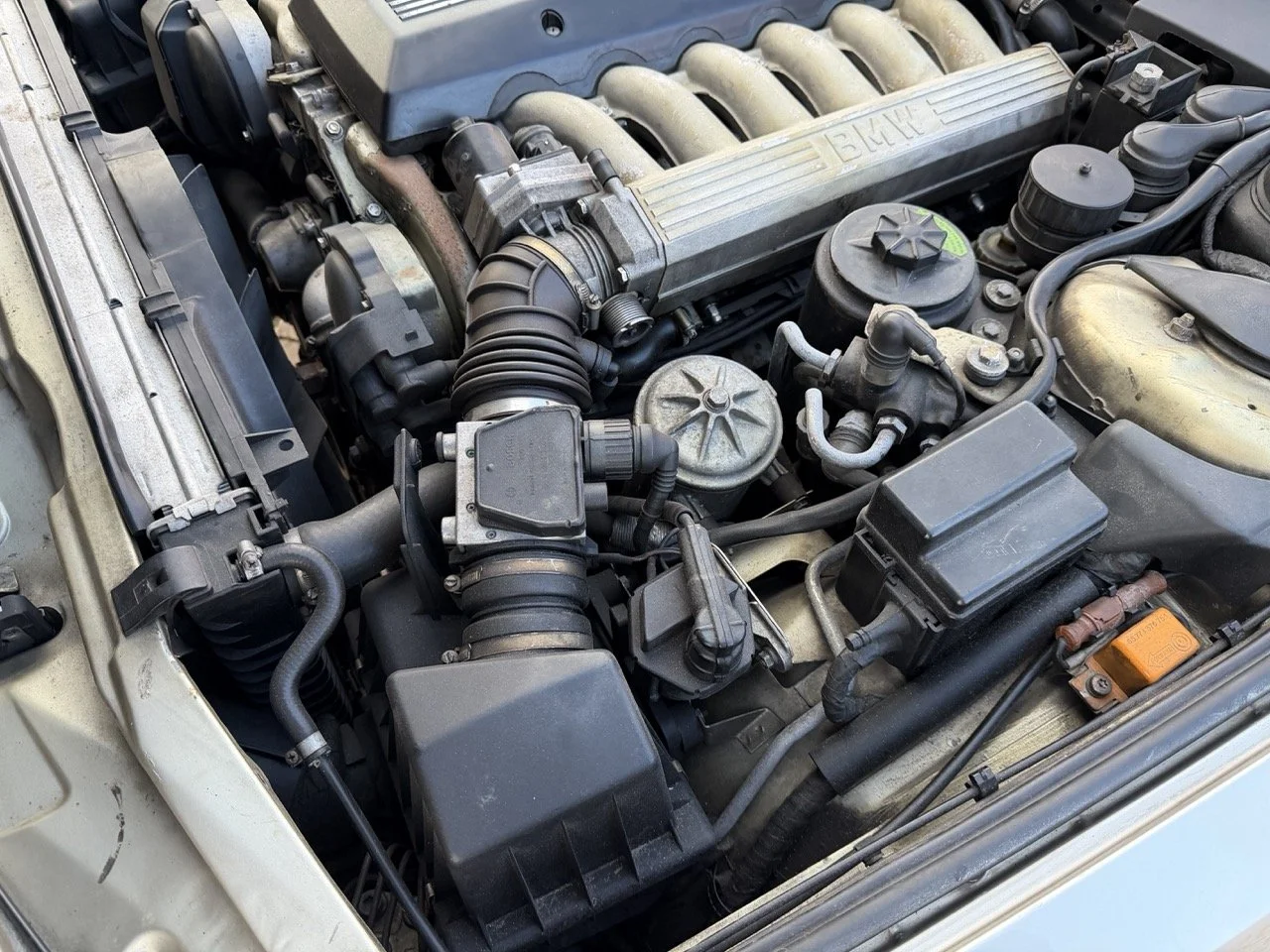 IMG_6990 2 – grande.jpeg