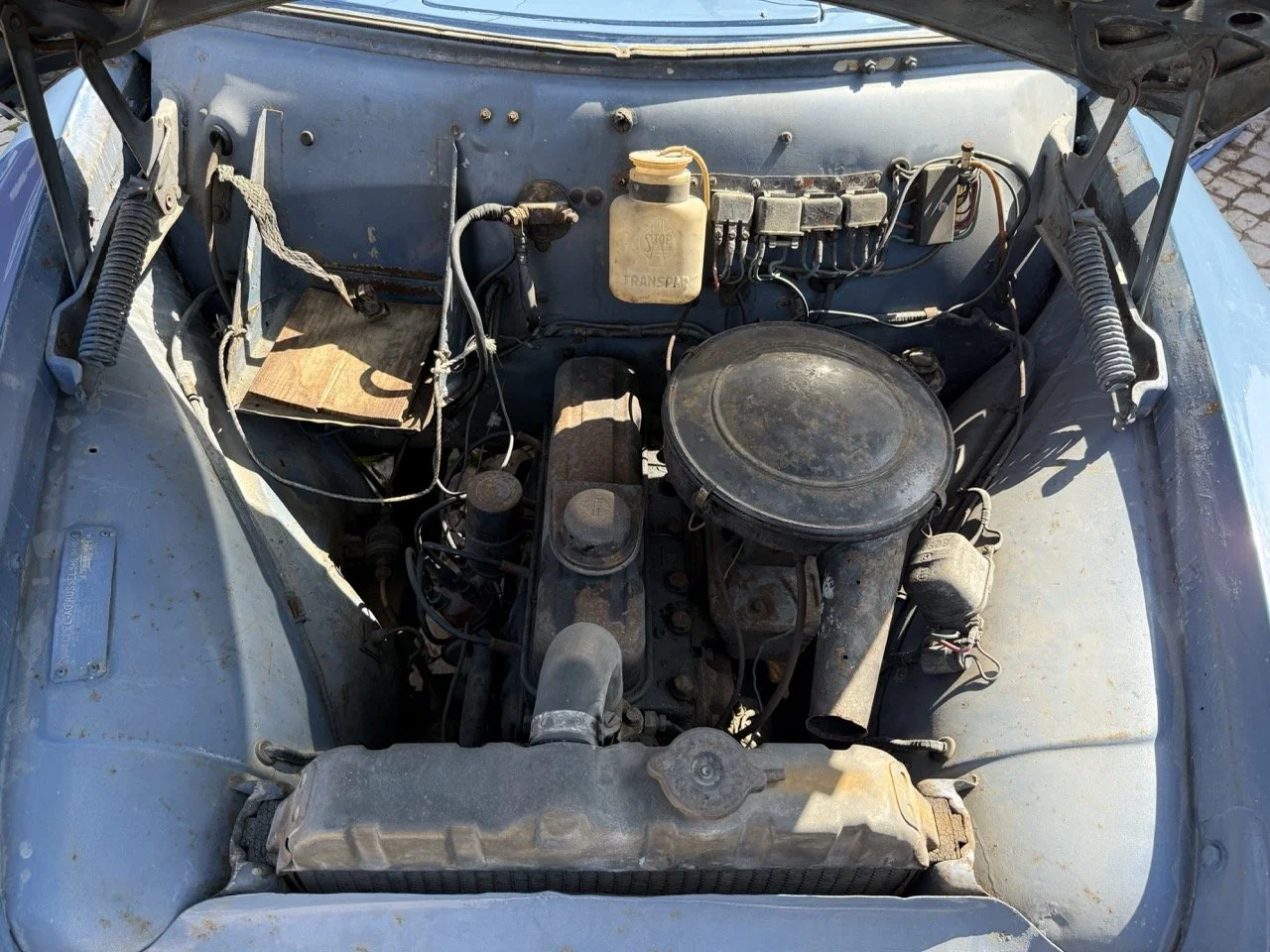 IMG_3517 – grande.jpeg