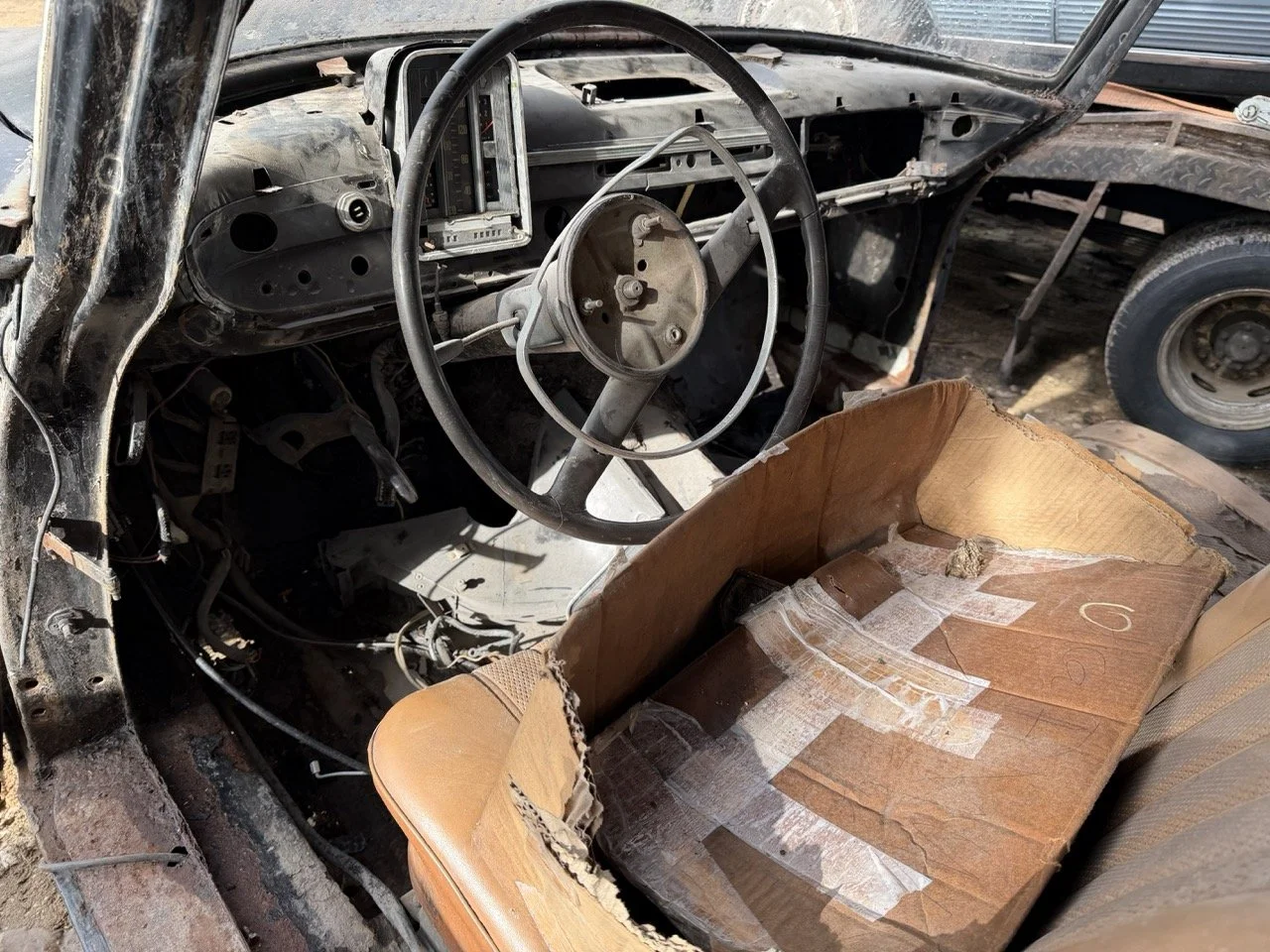 IMG_5239 – grande.jpeg