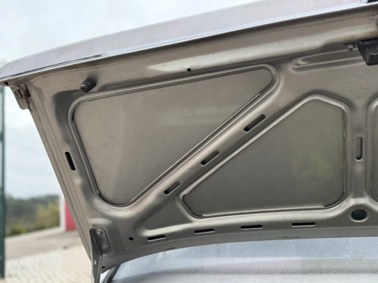 IMG_4709 3 – grande.jpeg