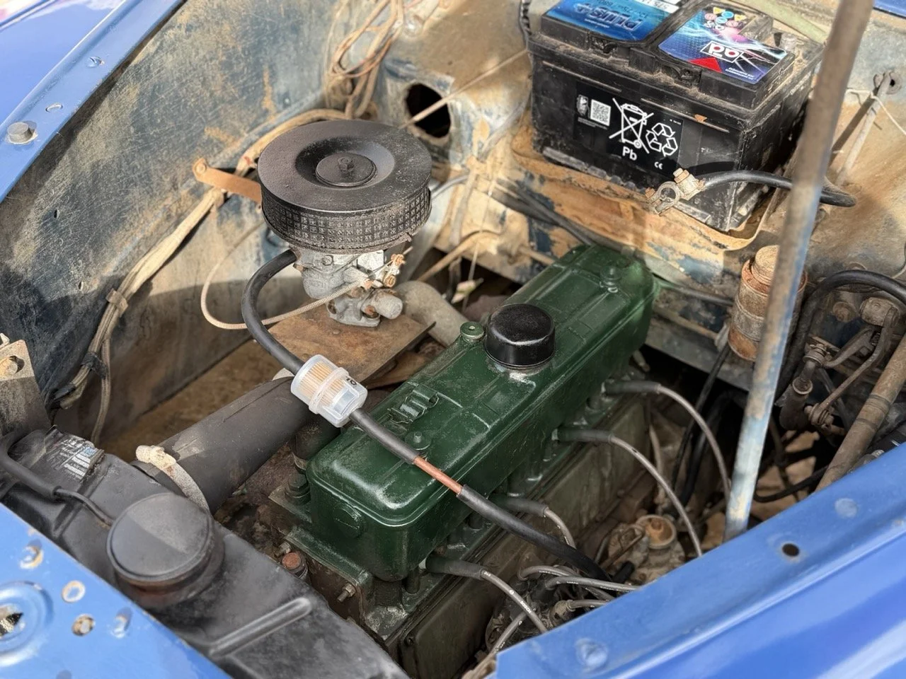 IMG_8115 – grande.jpeg