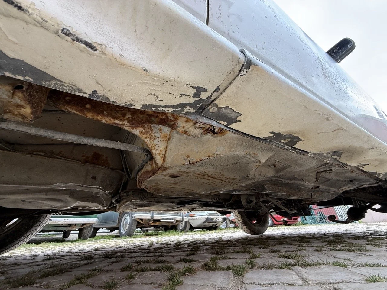 IMG_8639 – grande.jpeg