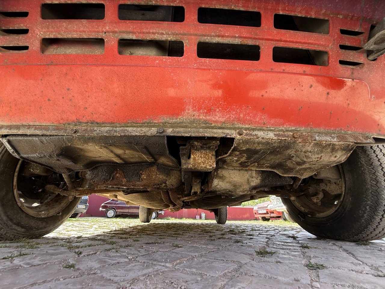 IMG_2373 – grande.jpeg