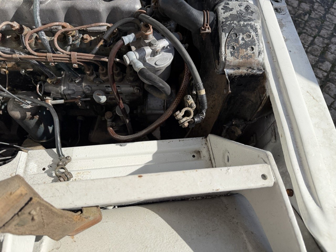 IMG_8615 2 – grande.jpeg