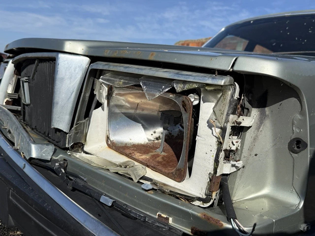 IMG_1252 – grande.jpeg