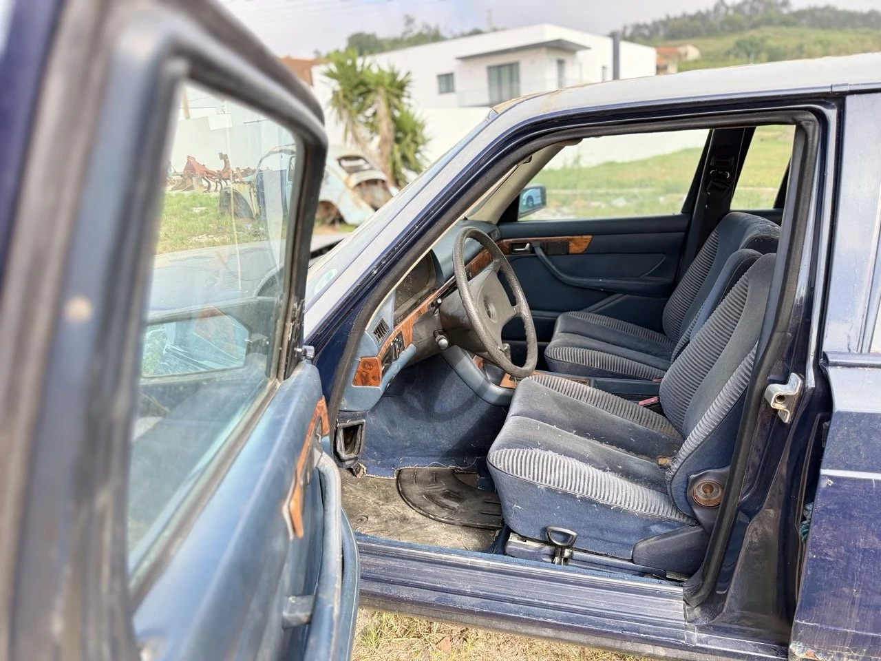 IMG_3350 – grande.jpeg